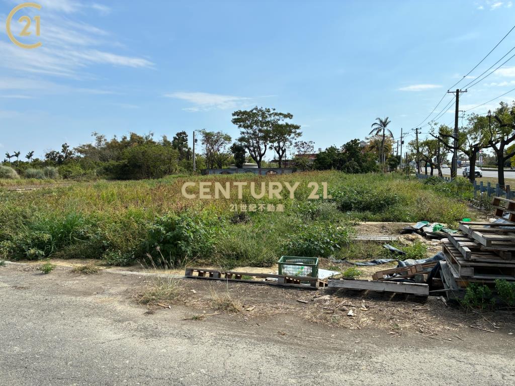 柳營臨台一省道2.7分農地