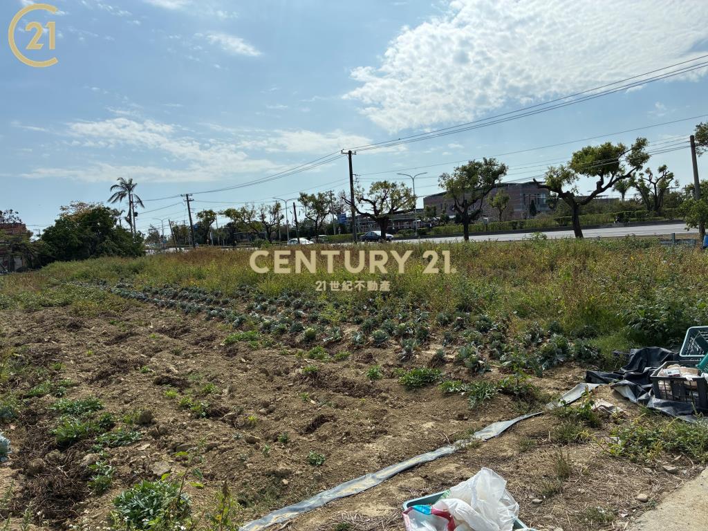 柳營臨台一省道2.7分農地