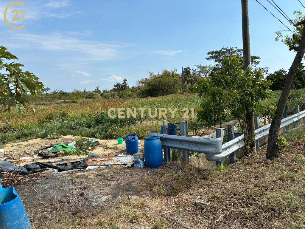 柳營臨台一省道2.7分農地