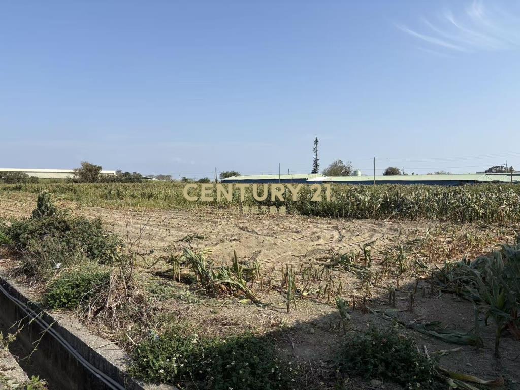 七股竹子港雙面路3.7分農地