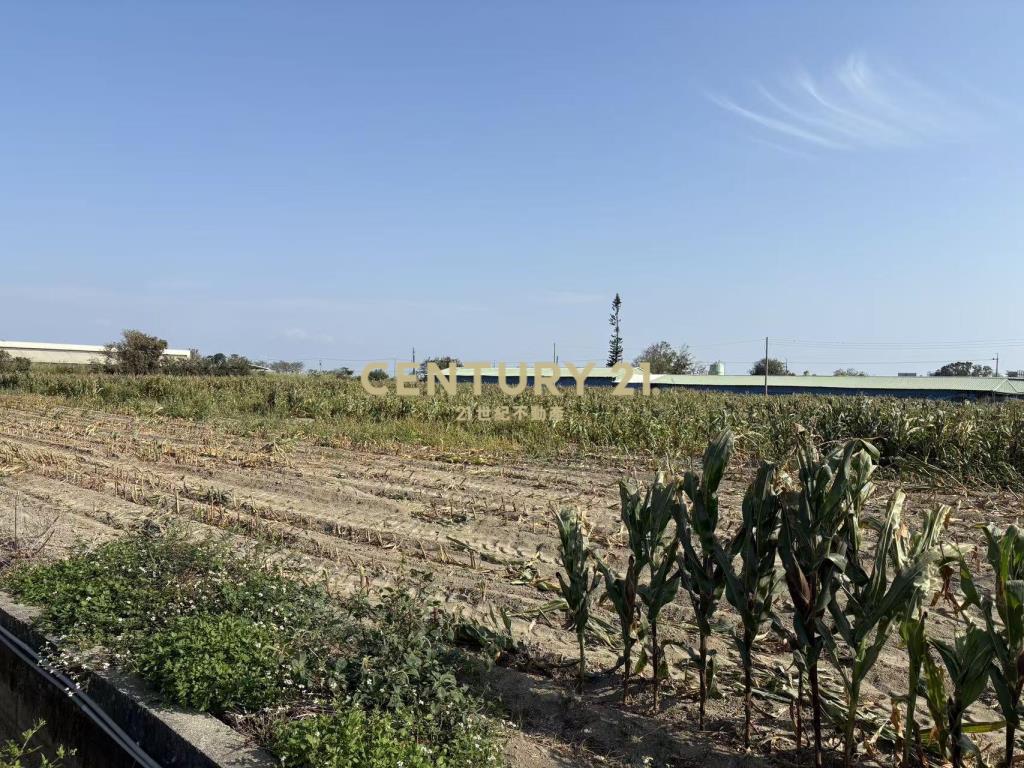 七股竹子港雙面路3.7分農地