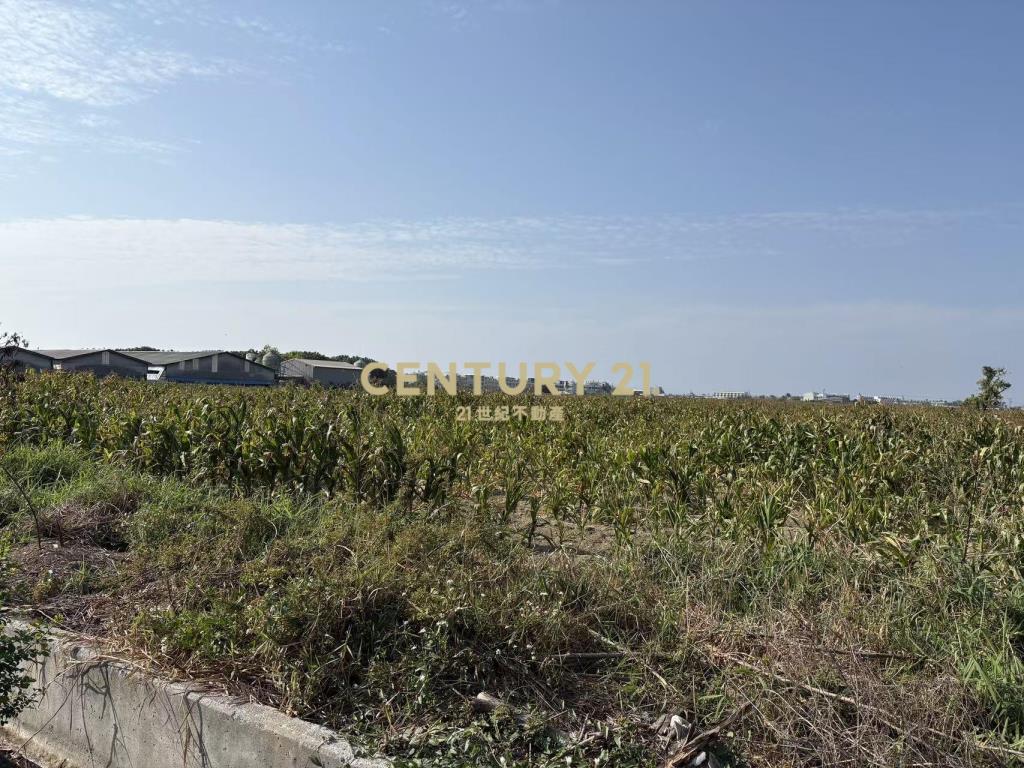 七股竹子港雙面路3.7分農地