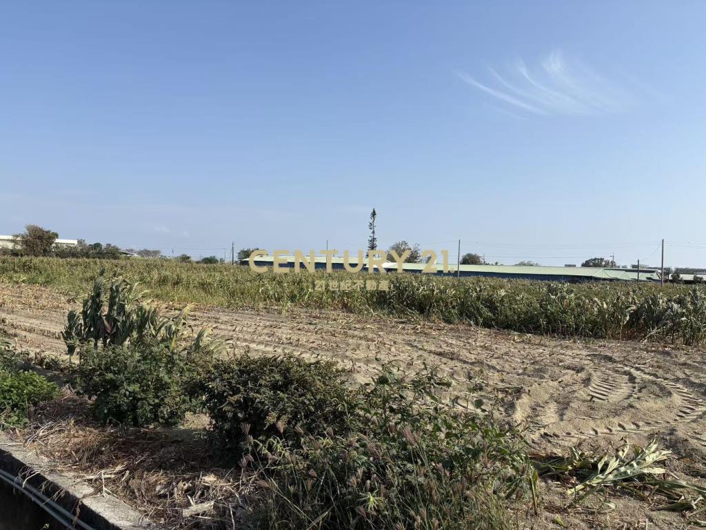 七股竹子港雙面路3.7分農地