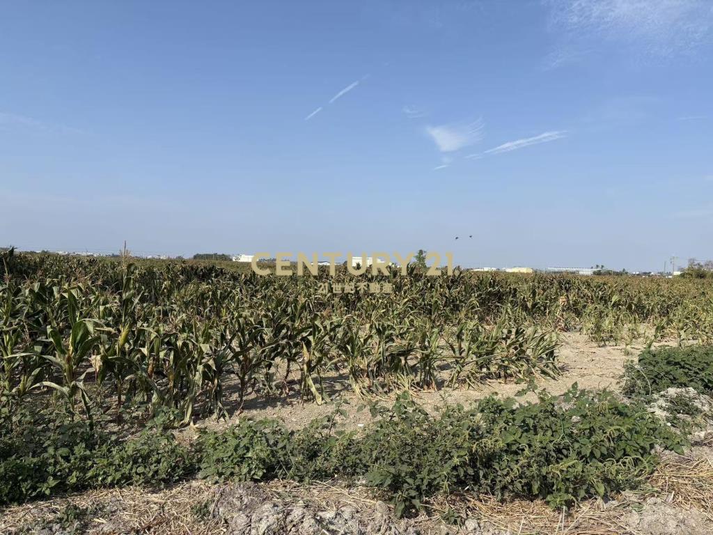 七股竹子港雙面路3.7分農地