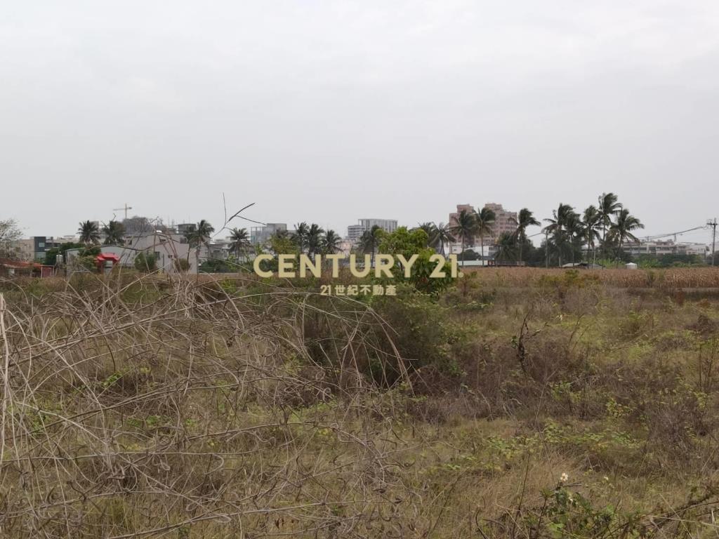 緊臨FG增值都農地