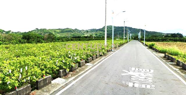 玉井8米路旁一般農地