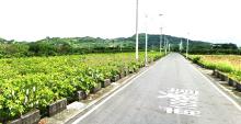 玉井8米路旁一般農地