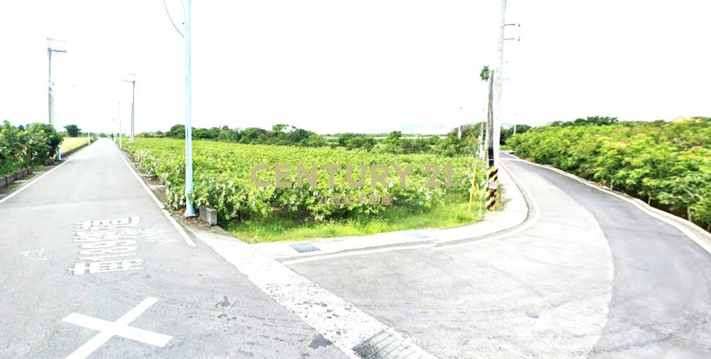 玉井8米路旁一般農地