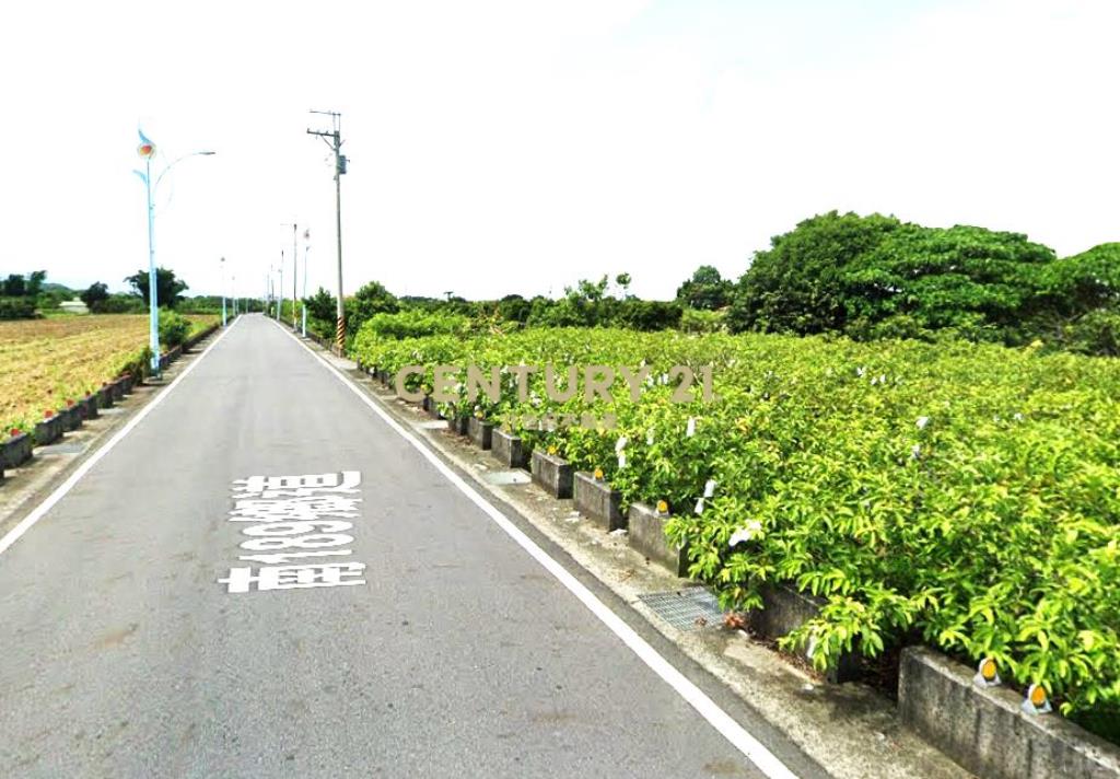 玉井8米路旁一般農地