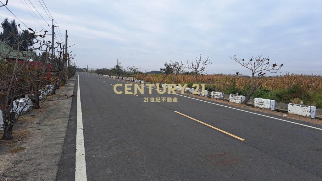 學甲中洲小而美農地