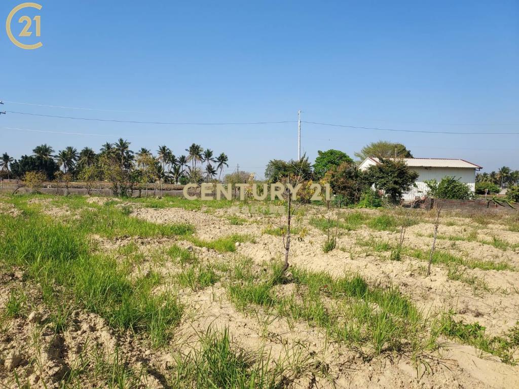 南科新市大社陽明山莊旁2.5分農地B