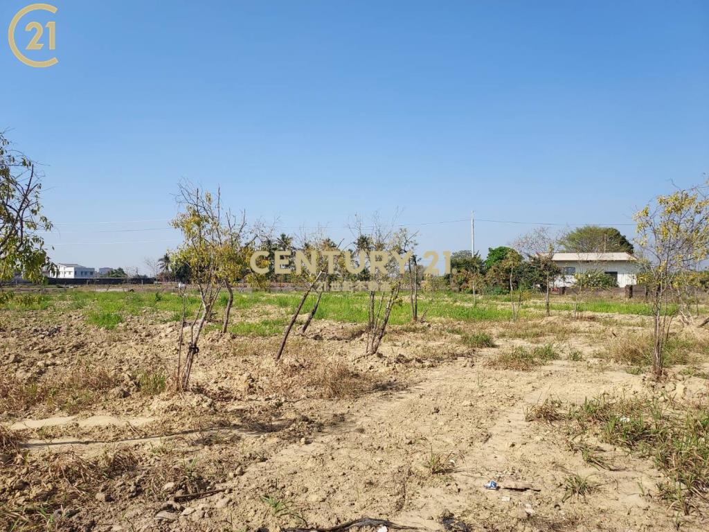 南科新市大社陽明山莊旁2.5分農地B