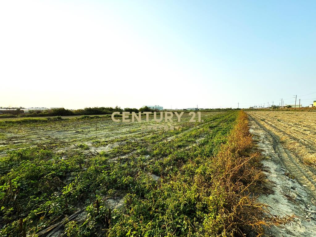 七股竹子港庄邊2.5分農地