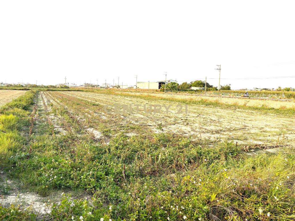 七股竹子港庄邊2.5分農地