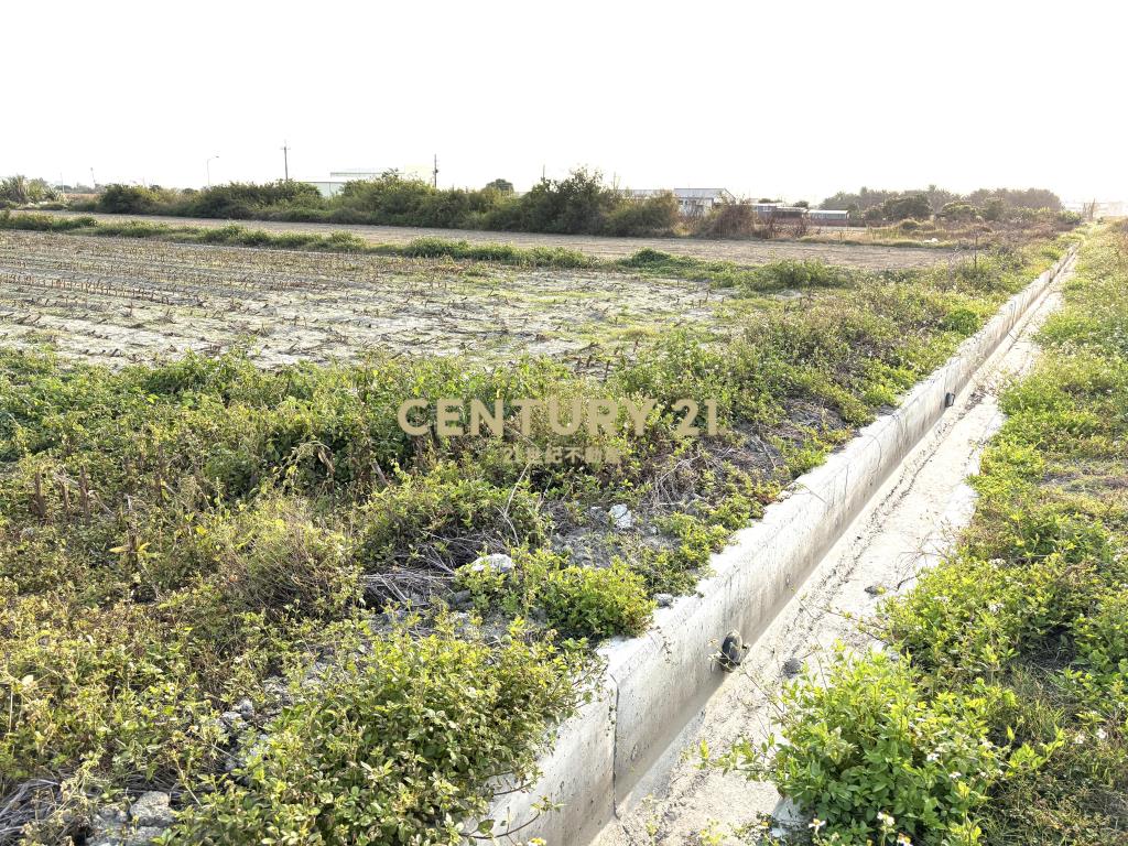 七股竹子港庄邊2.5分農地