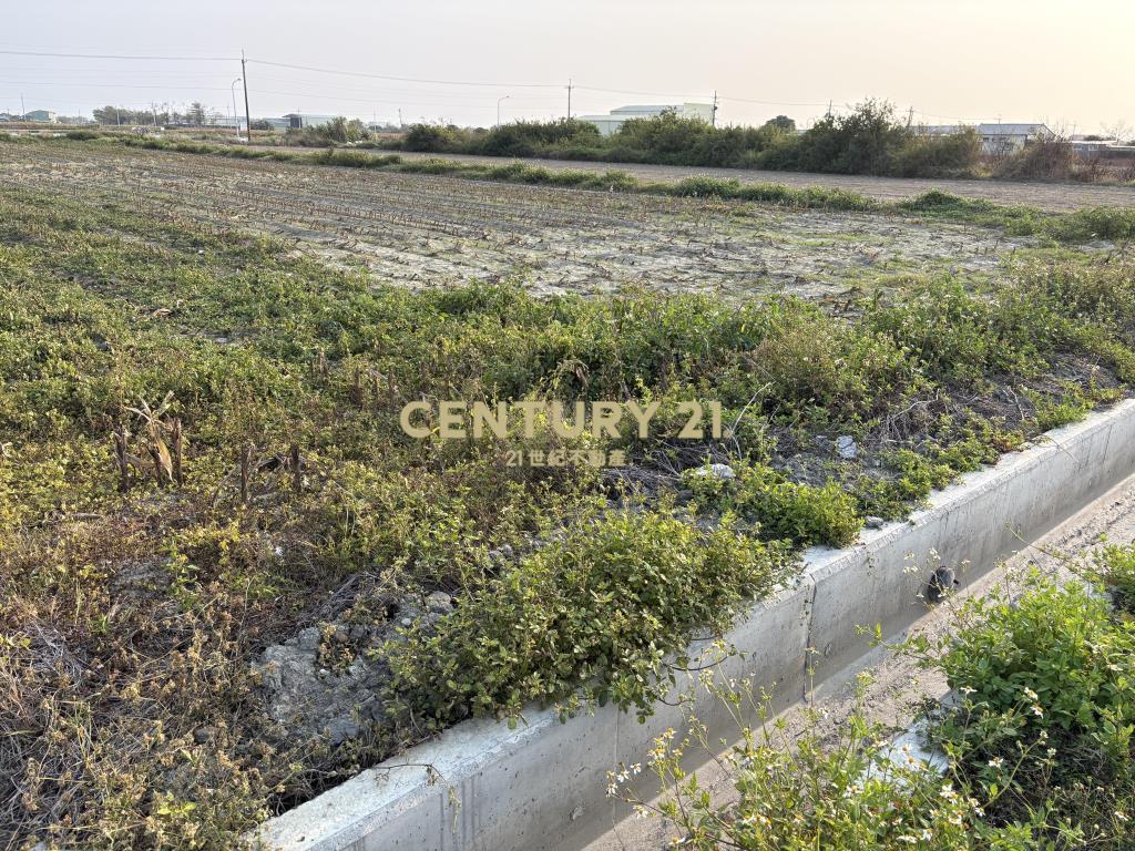 七股竹子港庄邊2.5分農地