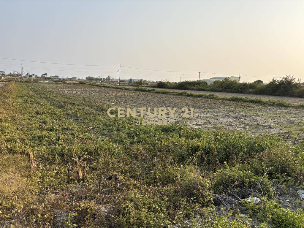 七股竹子港庄邊2.5分農地