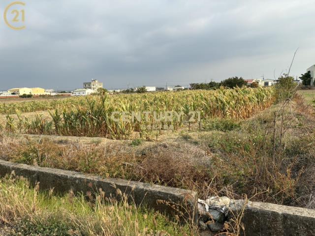 新市近台一省道豐榮旁農地