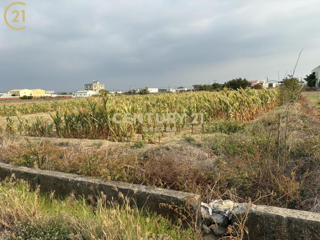 新市近台一省道豐榮旁農地