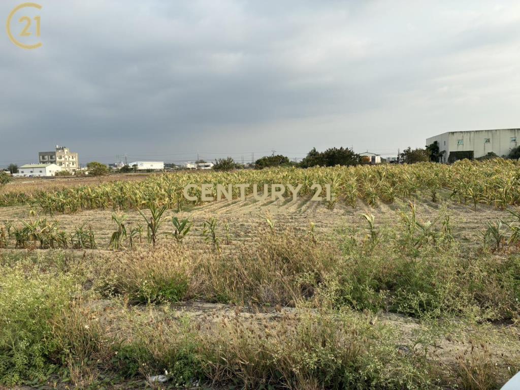 新市近台一省道豐榮旁農地