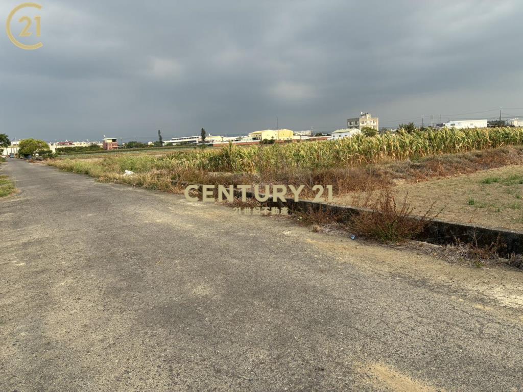 新市近台一省道豐榮旁農地