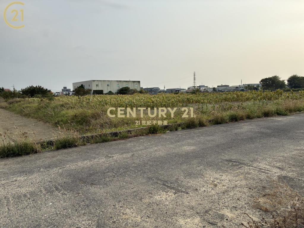 新市近台一省道豐榮旁農地