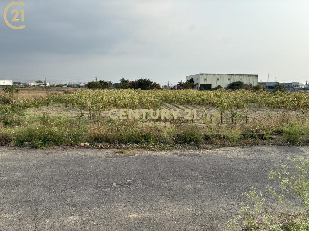 新市近台一省道豐榮旁農地