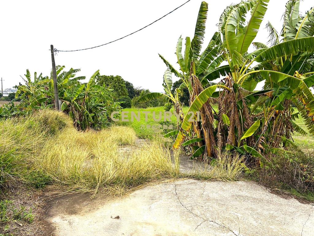 山上明南段5.1分優質農地