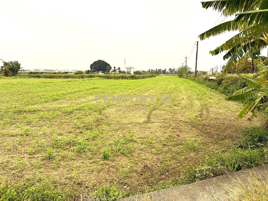 山上明南段5.1分優質農地