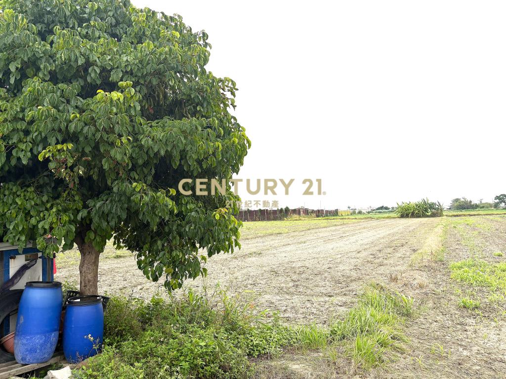 七股近竹橋活動中心423坪優質農地