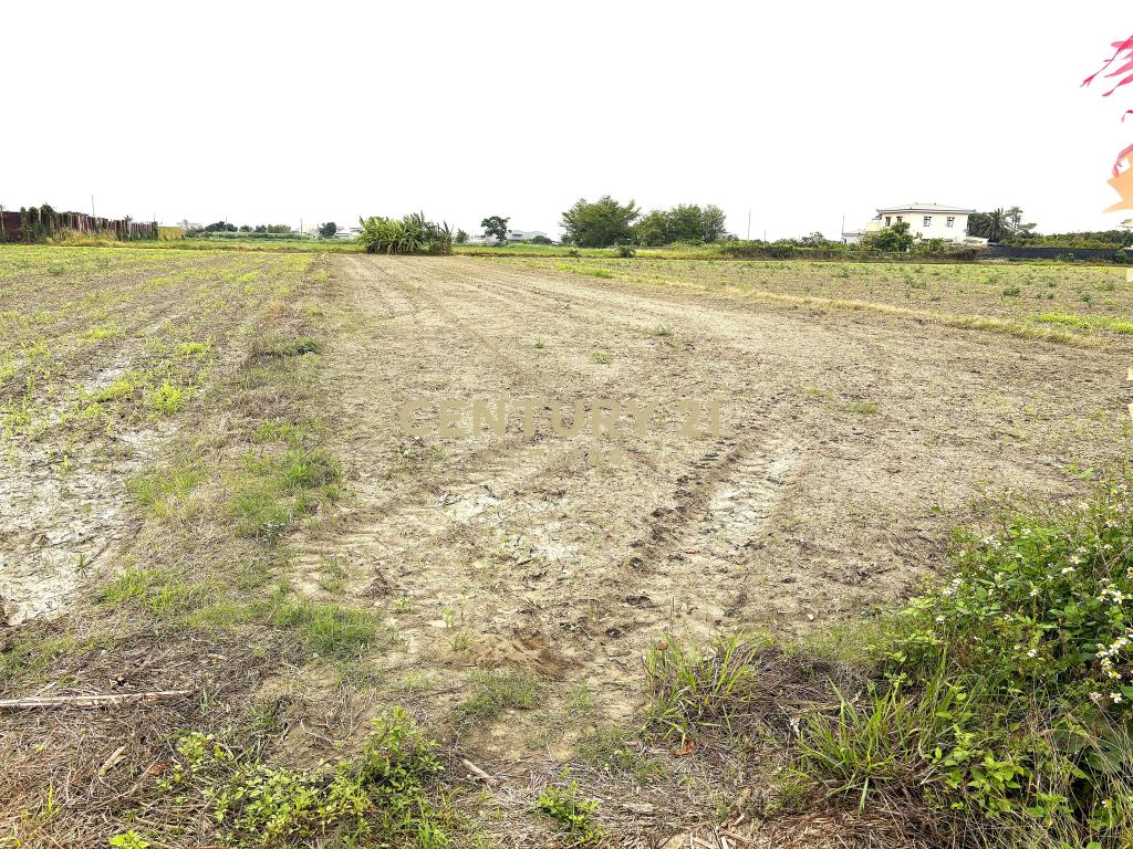 七股近竹橋活動中心423坪優質農地