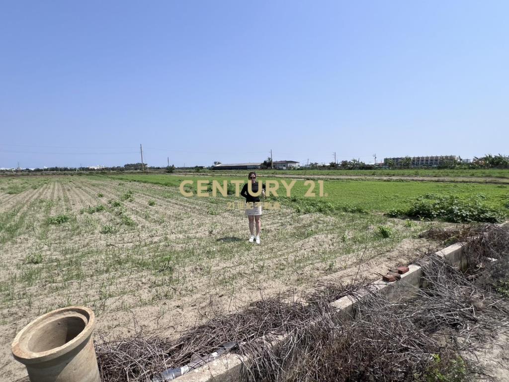 佳里興雙面路美農地