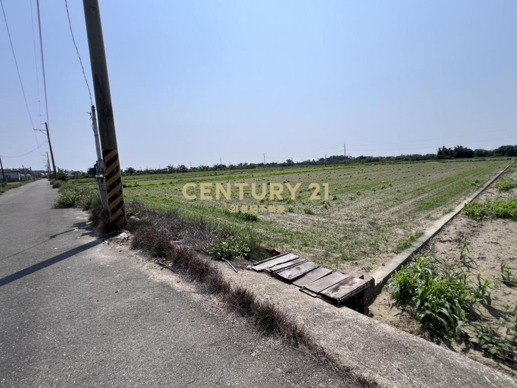 佳里興雙面路美農地