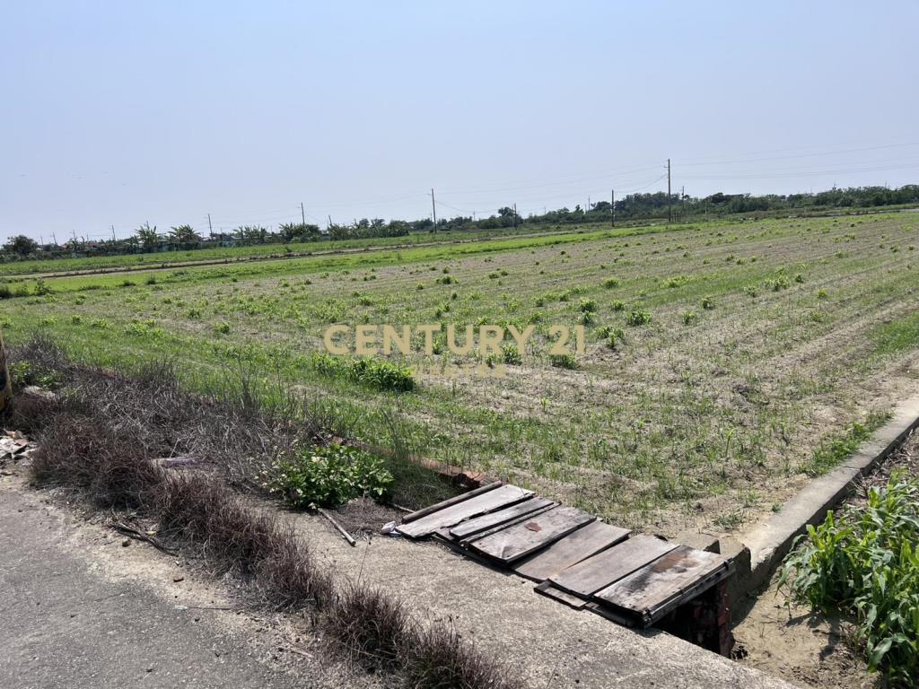 佳里興雙面路美農地