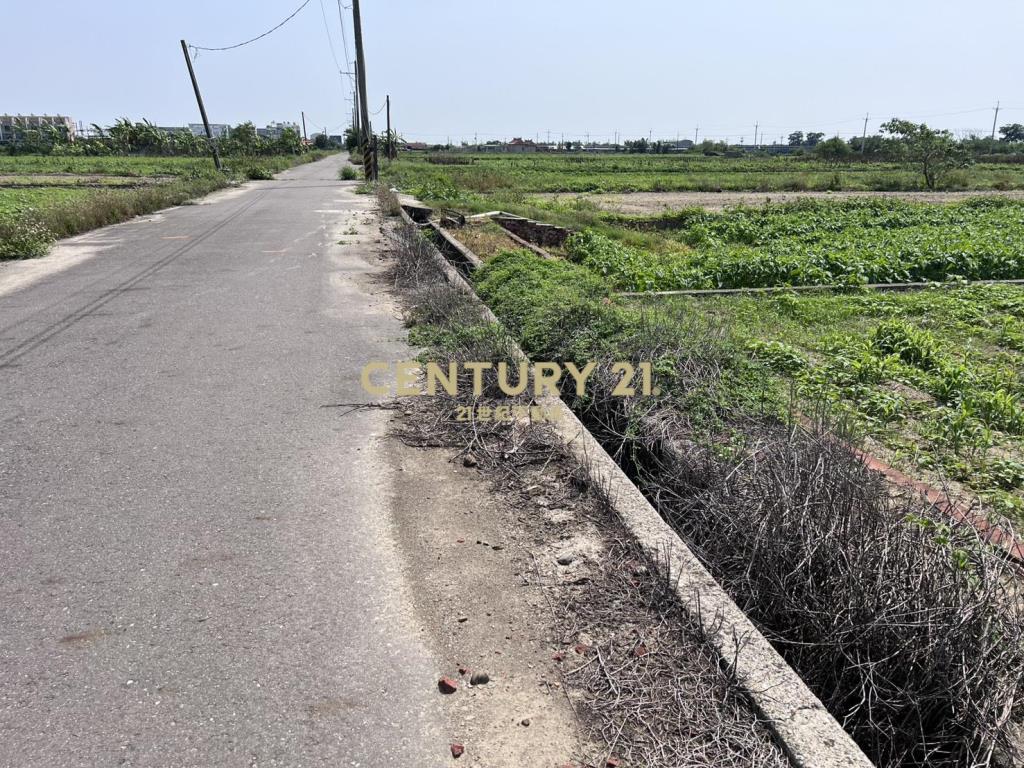 佳里興雙面路美農地