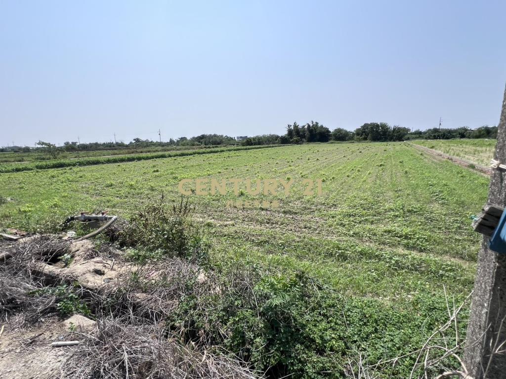 佳里興雙面路美農地