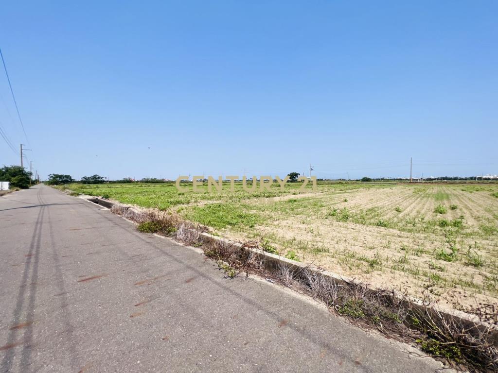 佳里興雙面路美農地