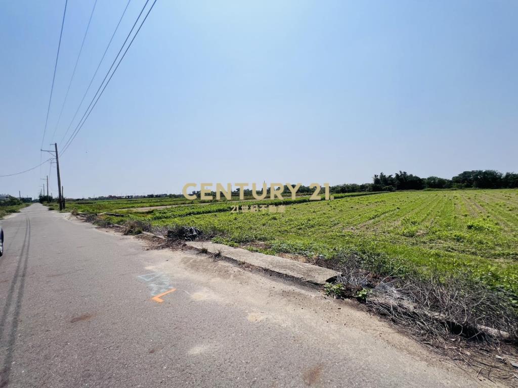 佳里興有水電4.2分美農地