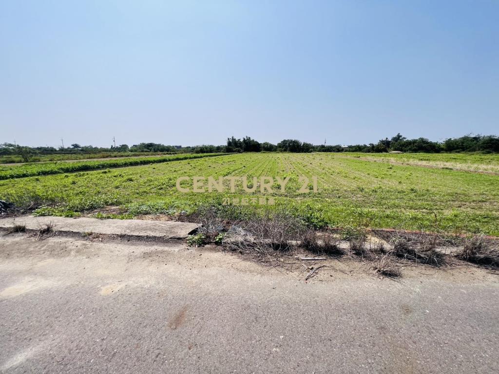 佳里興有水電4.2分美農地