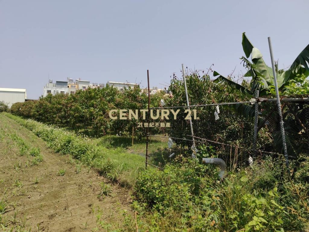 南科旁增值果園