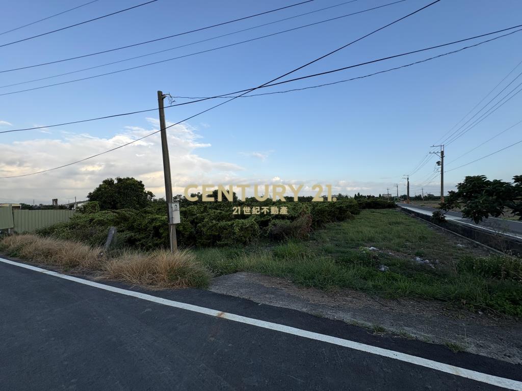 下營麻豆寮2.8甲農建地