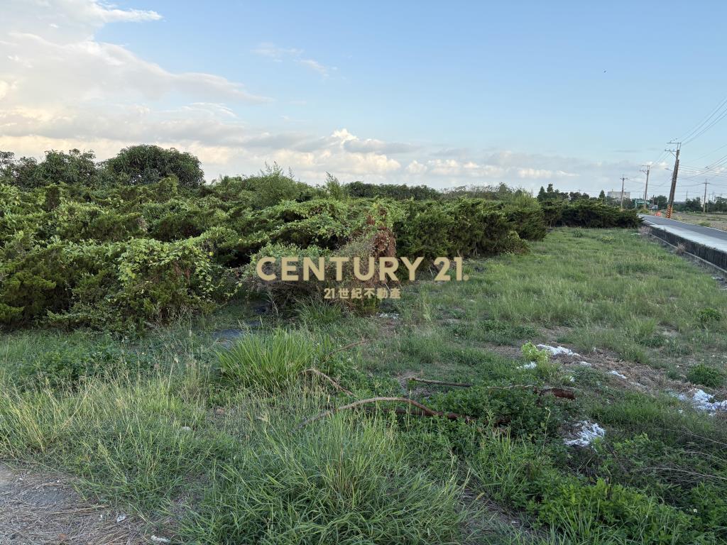 下營麻豆寮2.8甲農建地