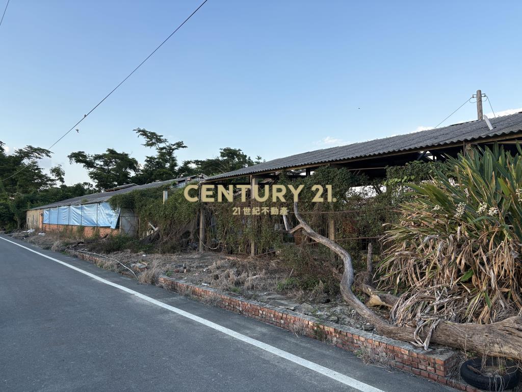 下營麻豆寮2.8甲農建地