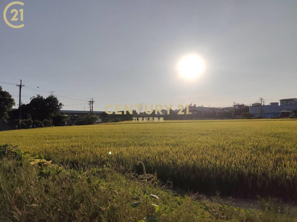 官田超便宜優質農地