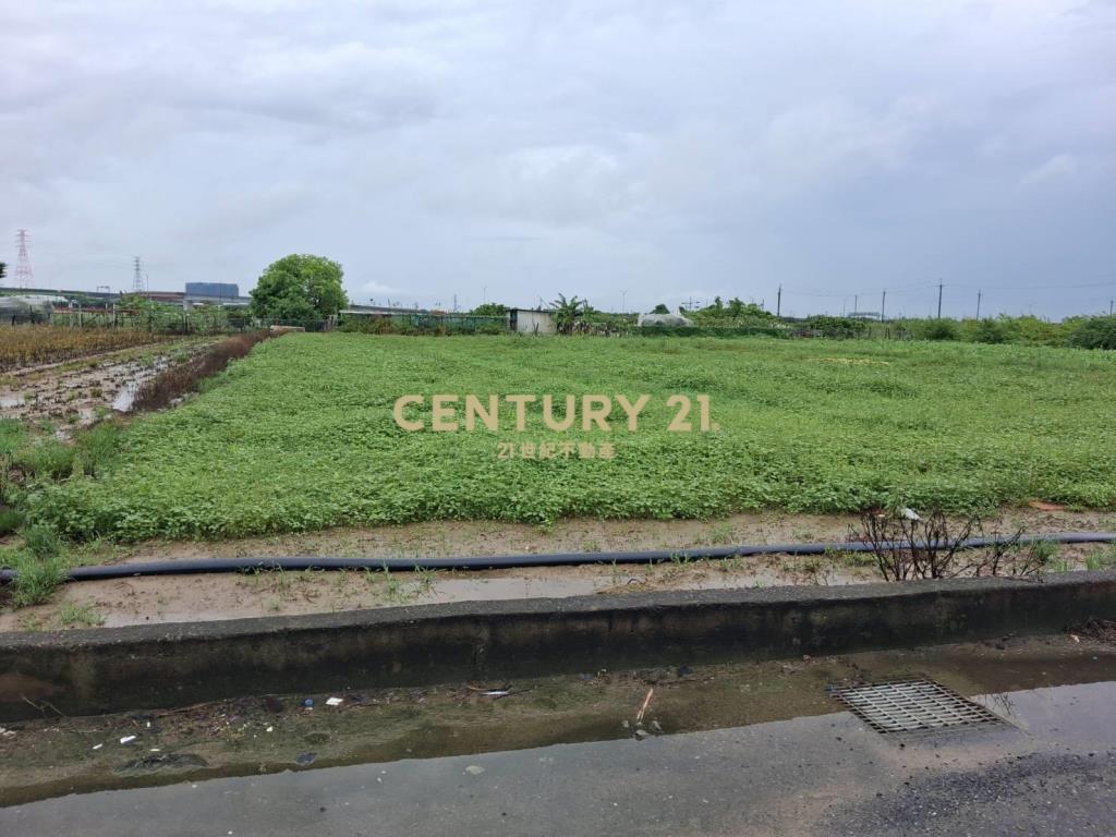 南科三期附近新市大洲農地