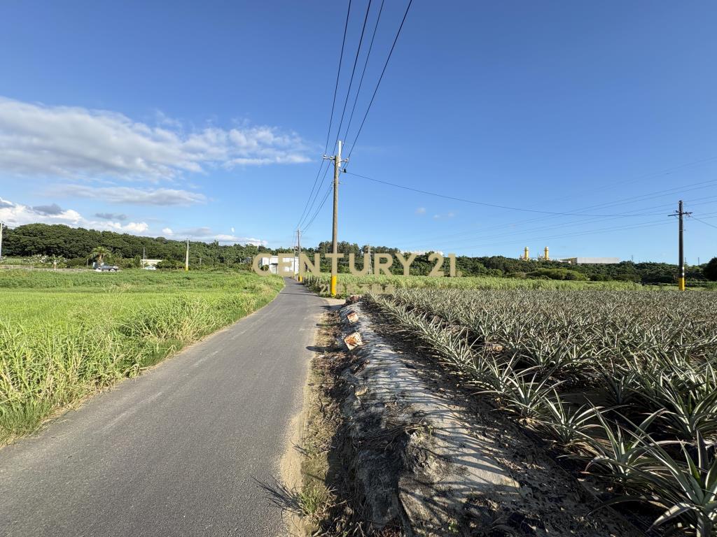 山上區近花園水道博物館831坪三角窗農