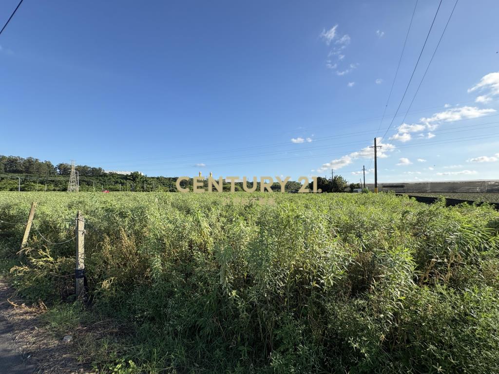 山上區近花園水道博物館831坪三角窗農