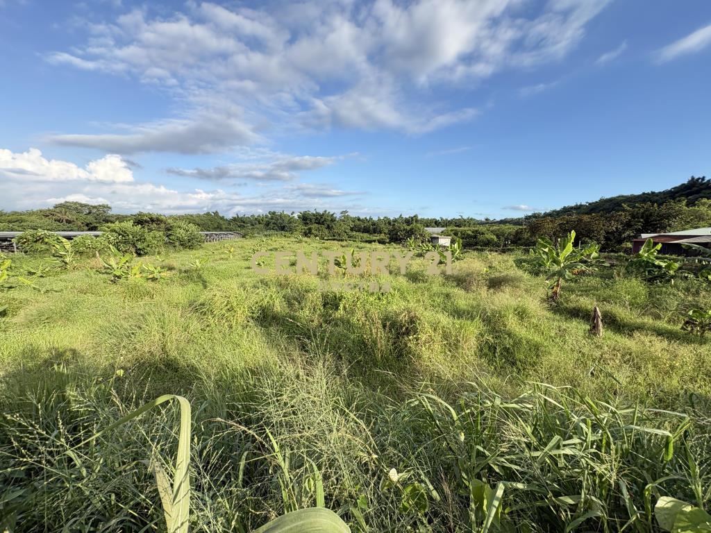 山上區近花園水道博物館3.9分農地