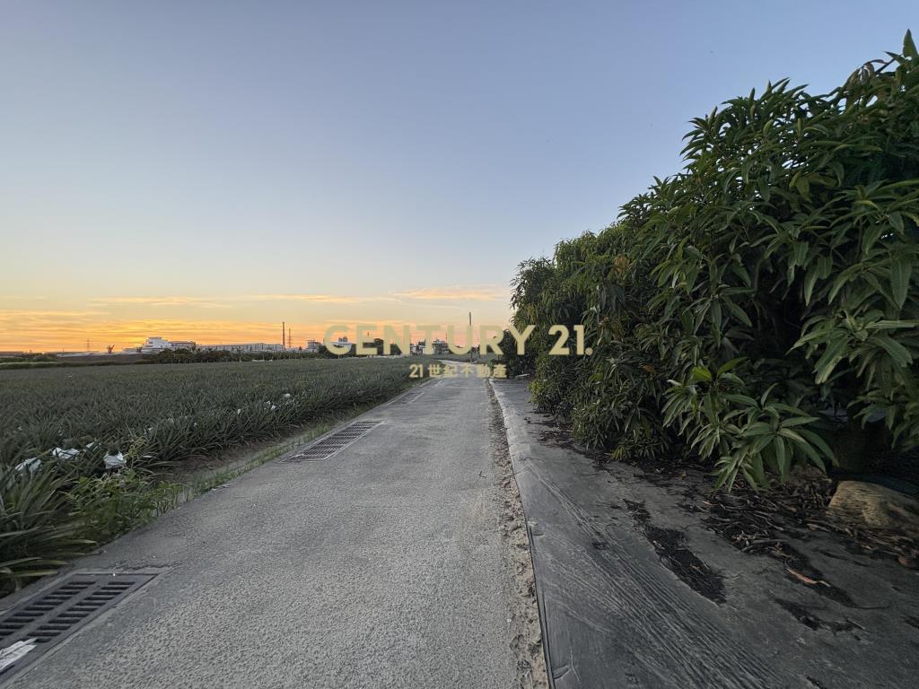 山上區明南段市中心旁都內三角窗農地