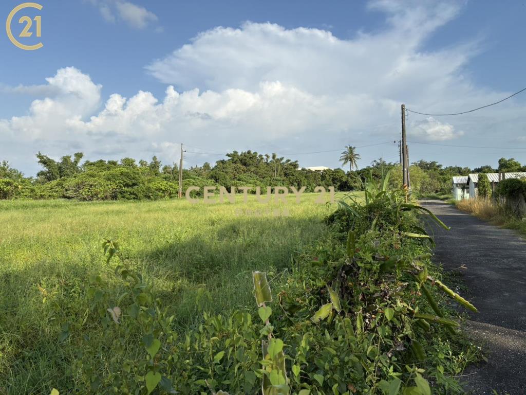官田渡頭近省道休閒農業區農地